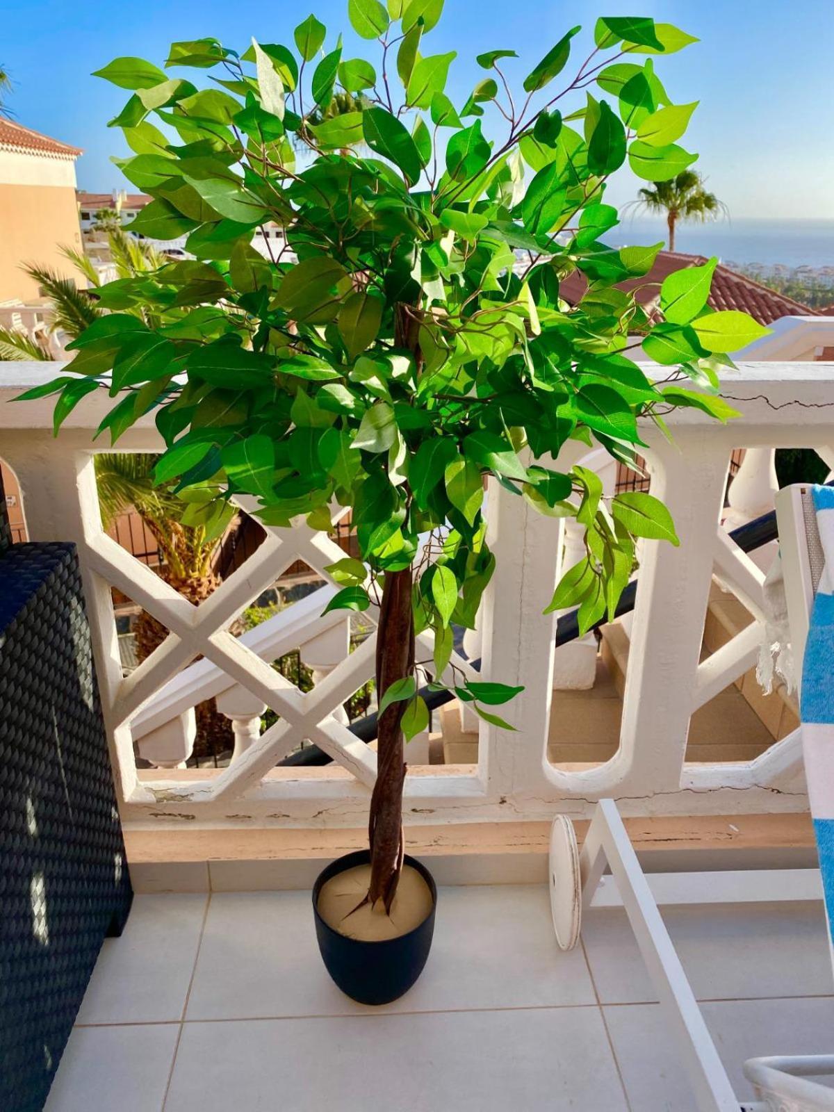 Passione Beautiful Apartment With Sea View Costa Adeje  Exterior photo